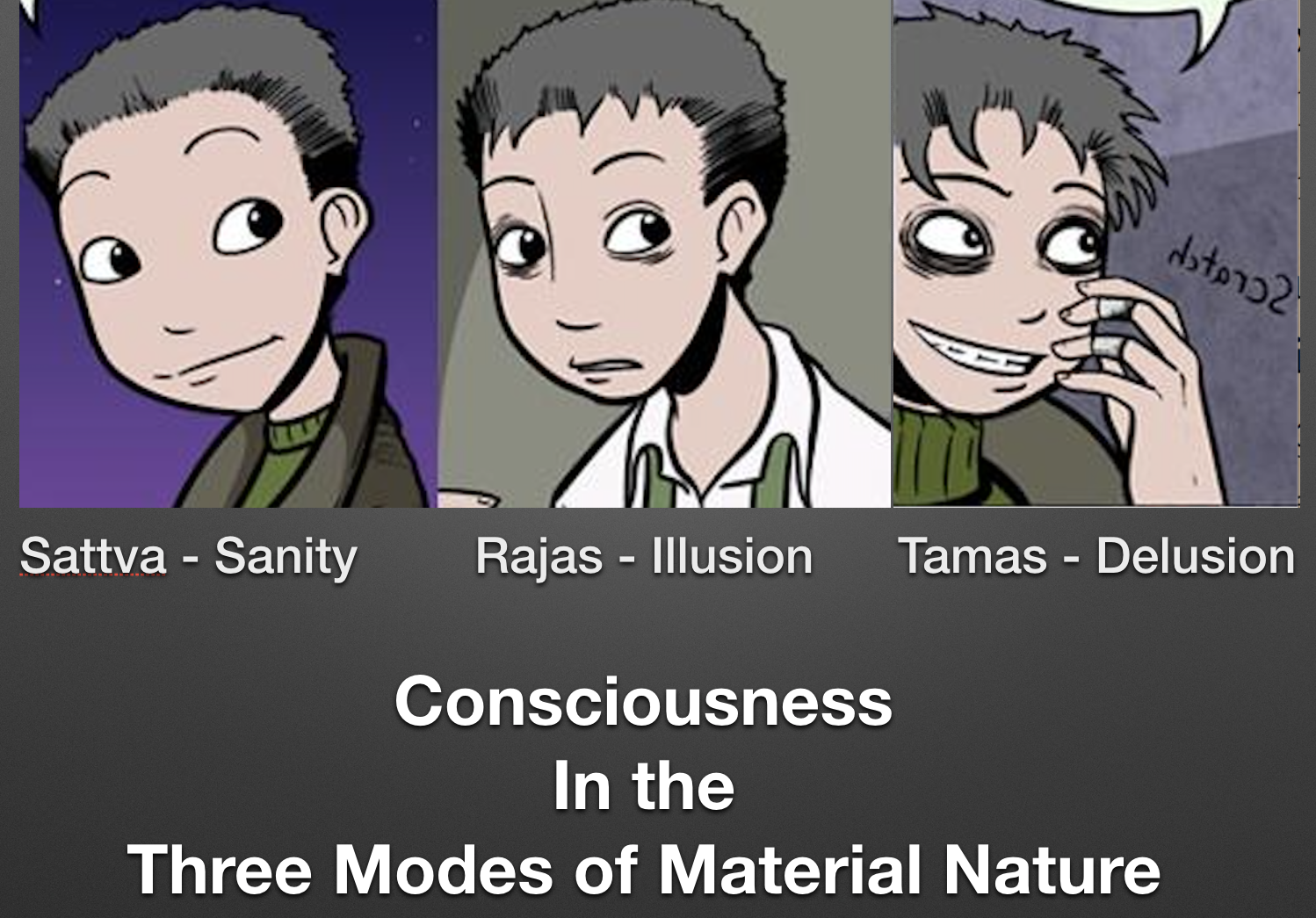 Levels of Consciousness in the Material World