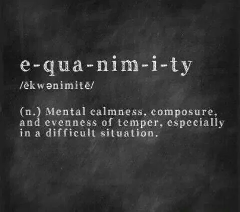 Yogic Equanimity of Mind Defined 