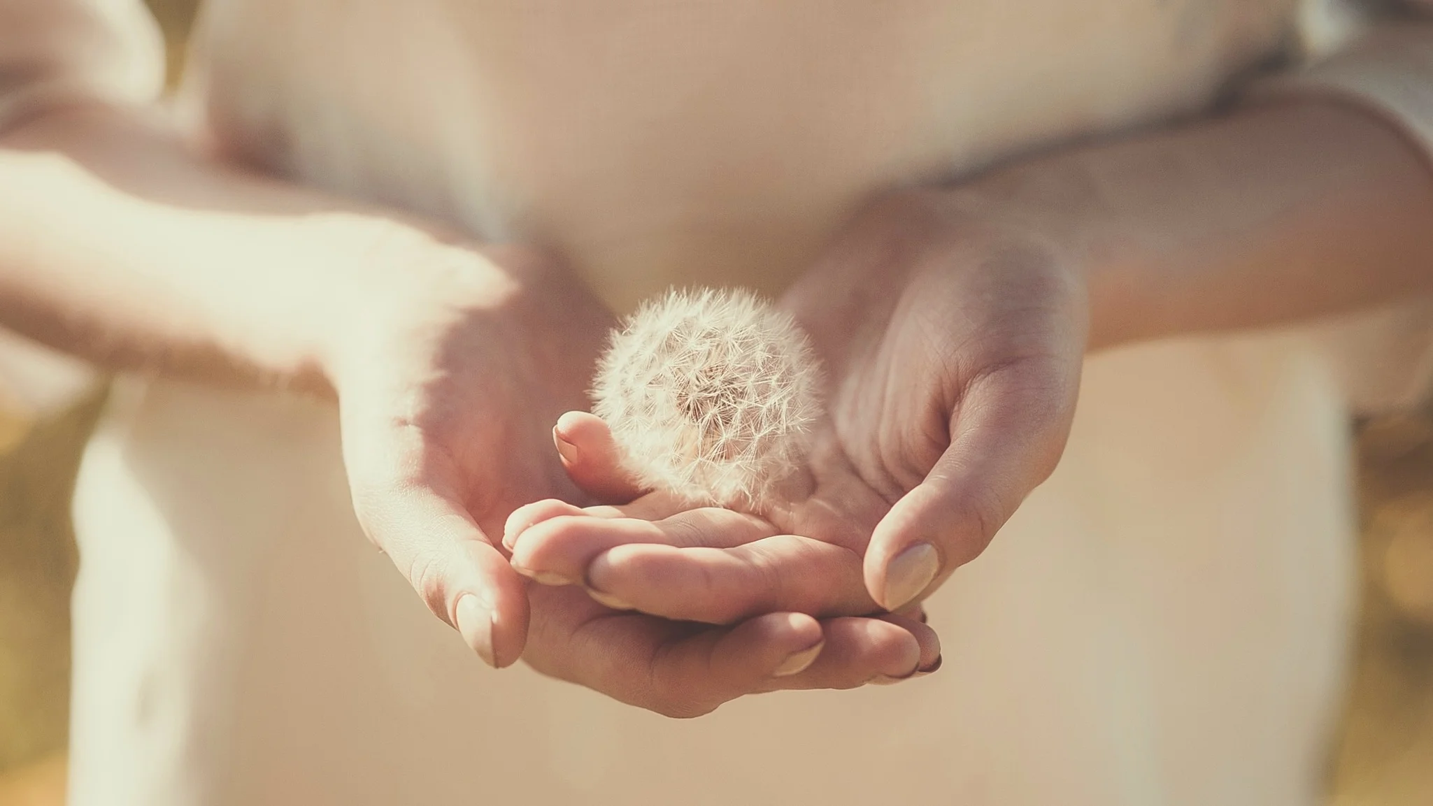 Natural%2BFertility%2BTreatments%2BSanta%2BCruz.jpg