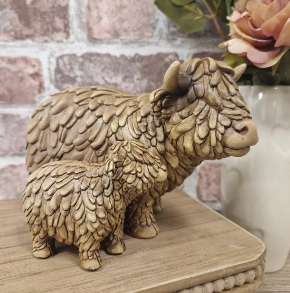 Highland cow and calf standing