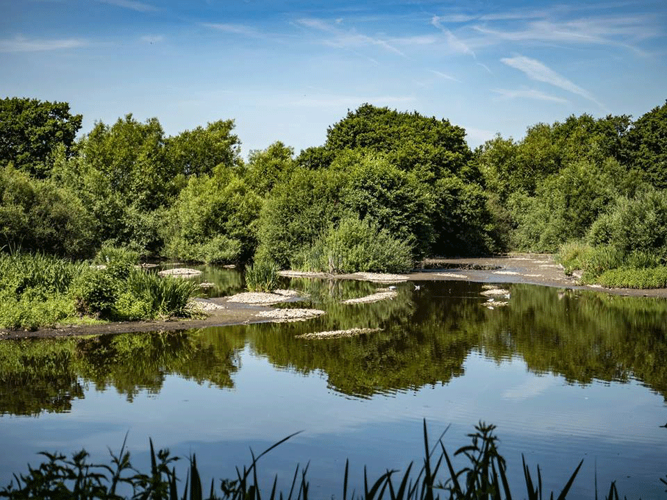Teal Hide View