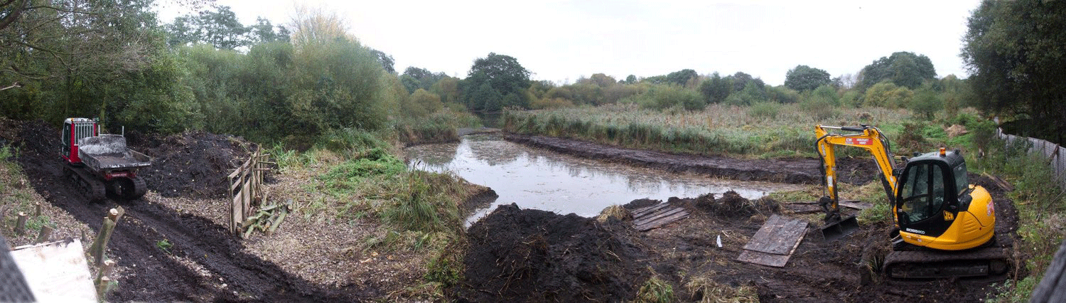 Reed Bed Work In Progress Photograph by Martin Parr