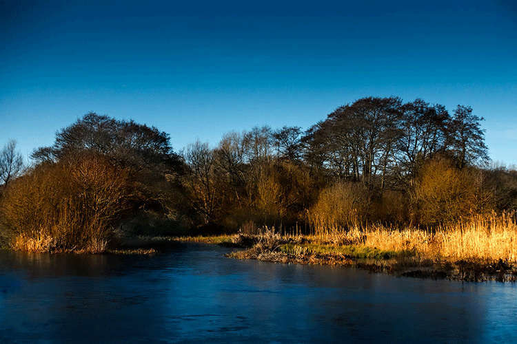 Teal Hide View In Winter