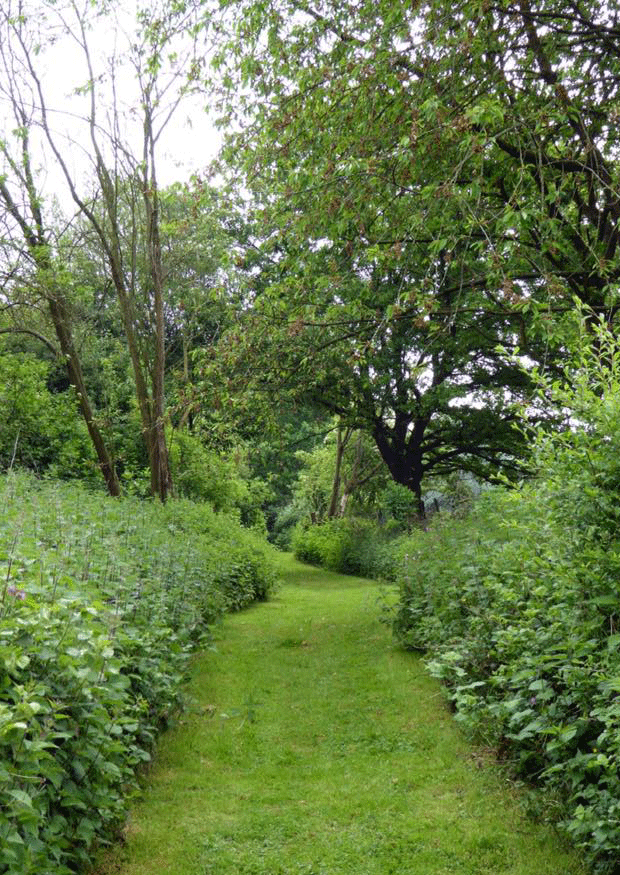 Long Hedge Path
