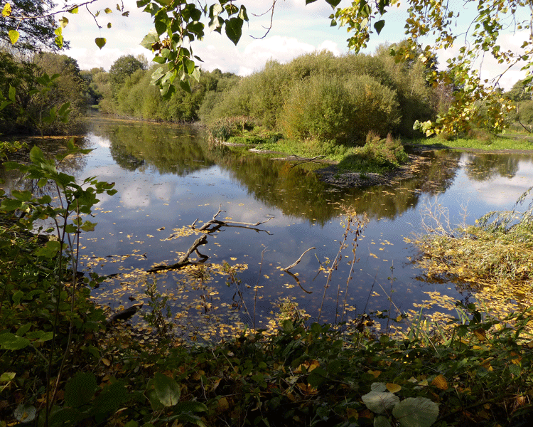 Sluice Screen View In Autumn