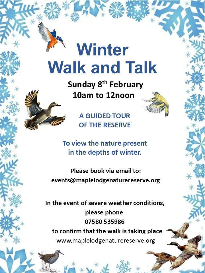 Winter Walk and Talk