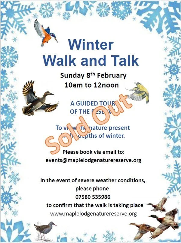 Winter Walk and Talk