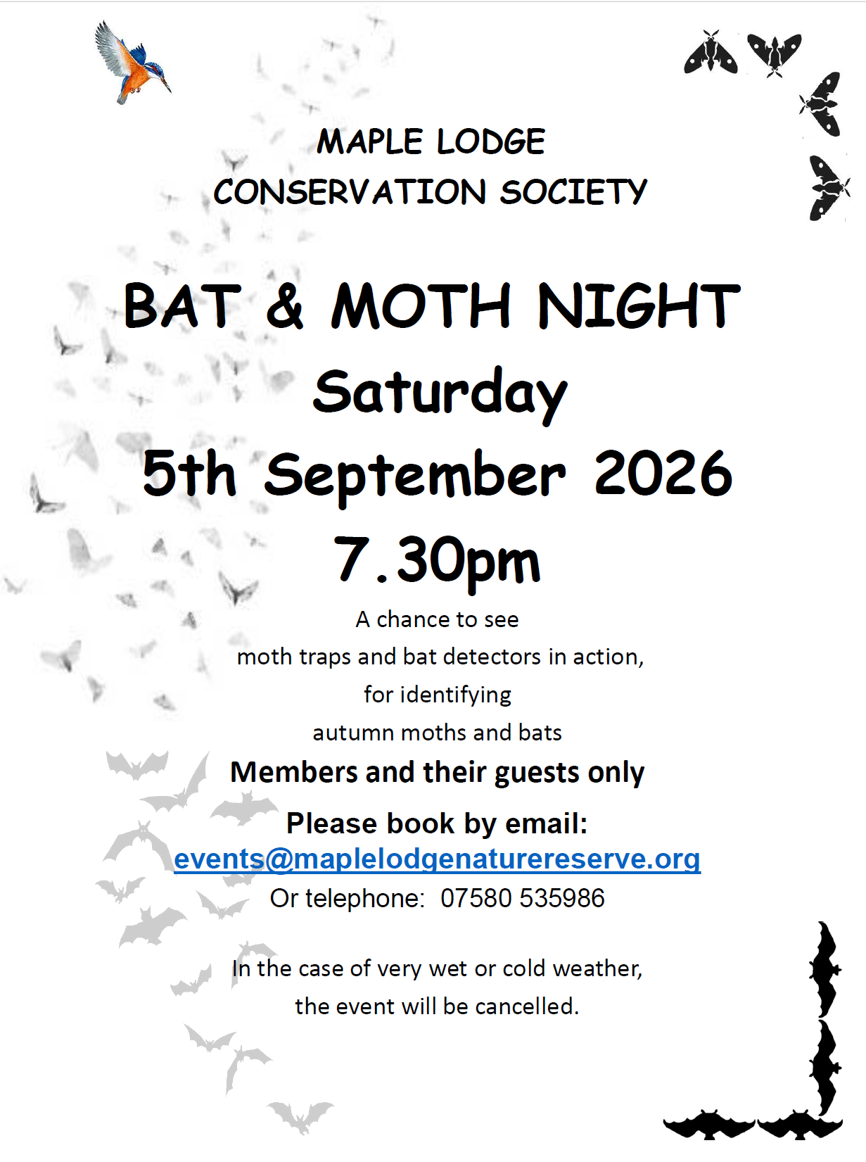 Bat &amp; Moth Evening