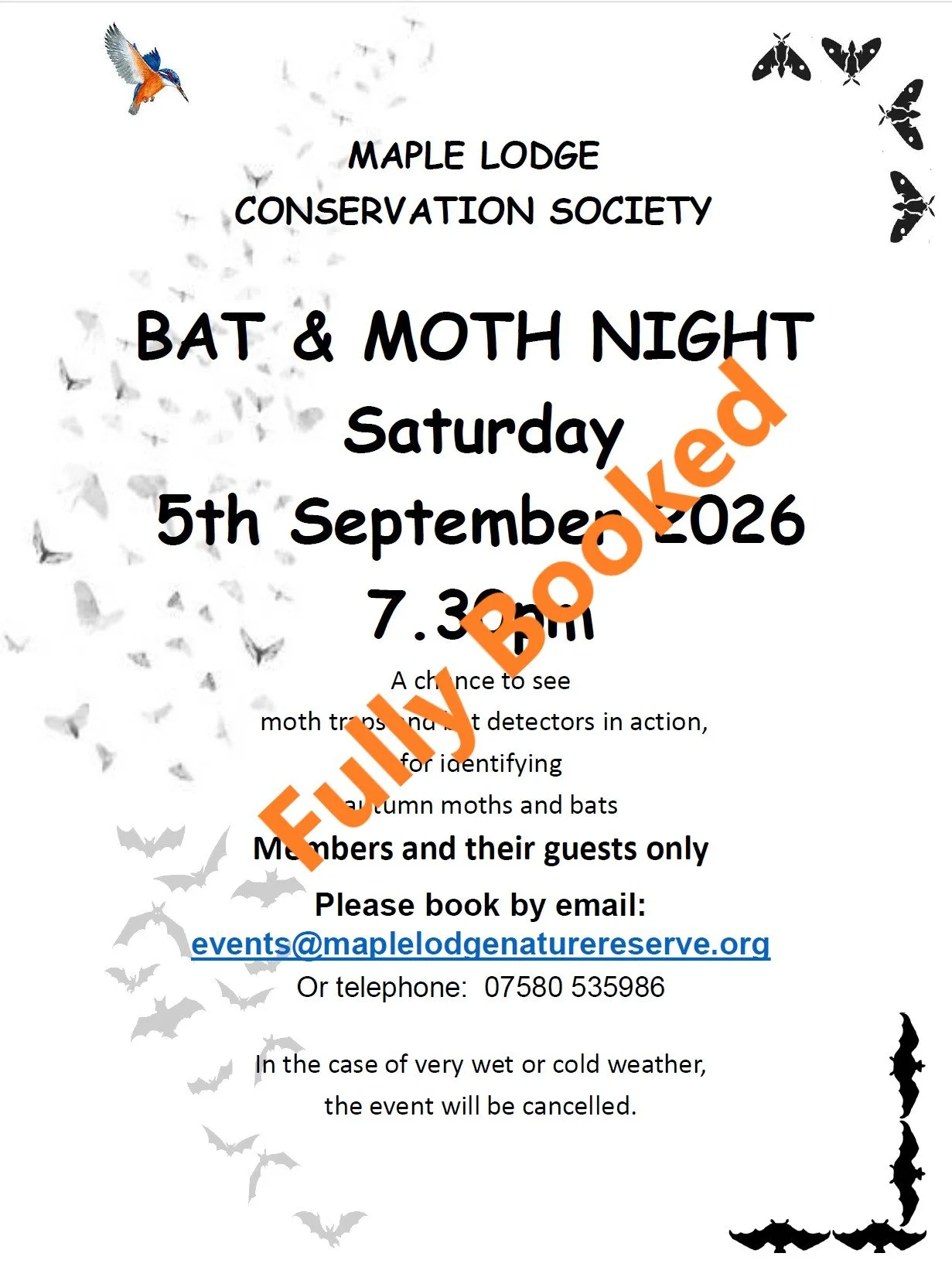 Bat &amp; Moth Night