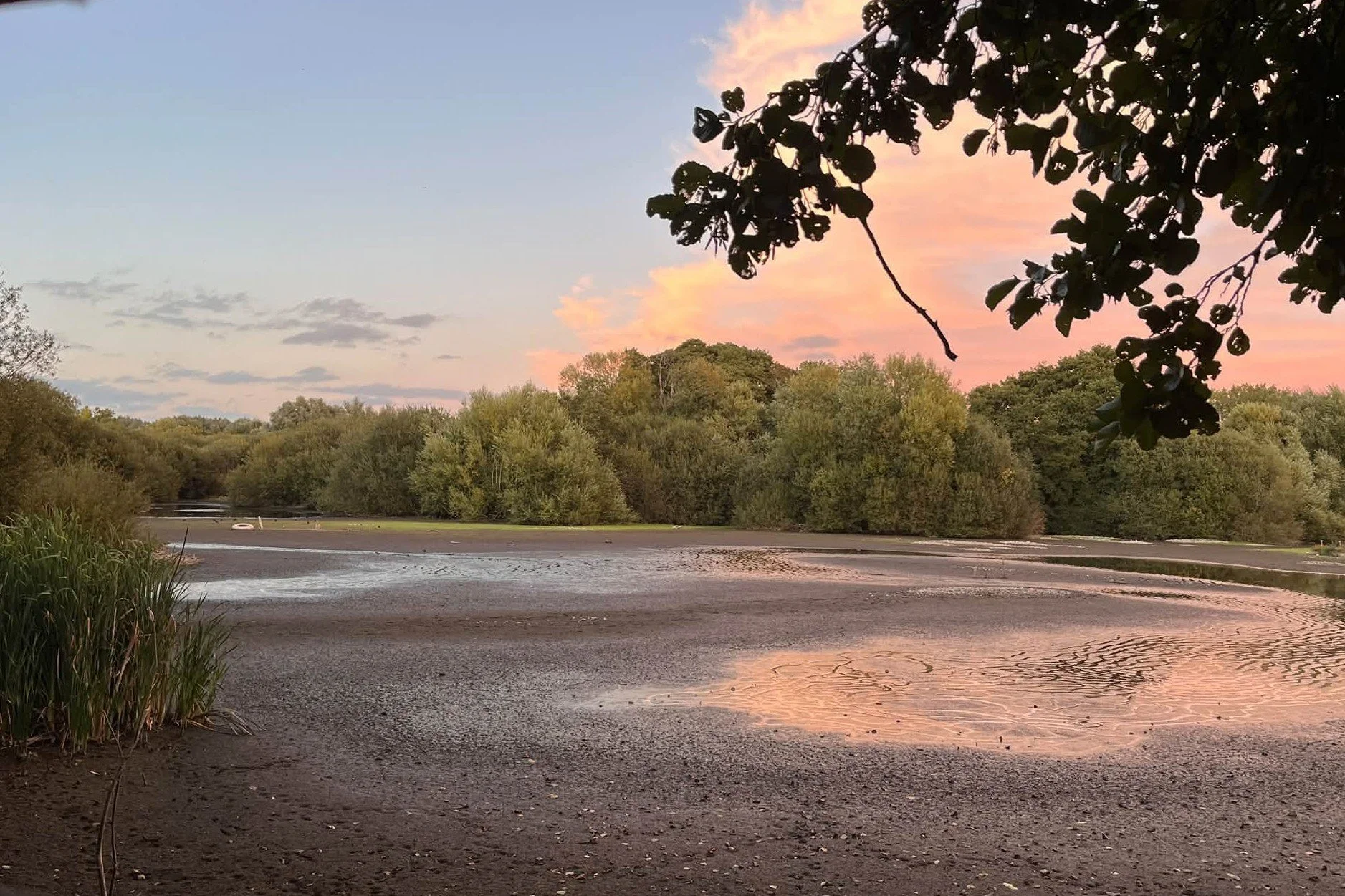 Maple Lodge Lakes Dry Out