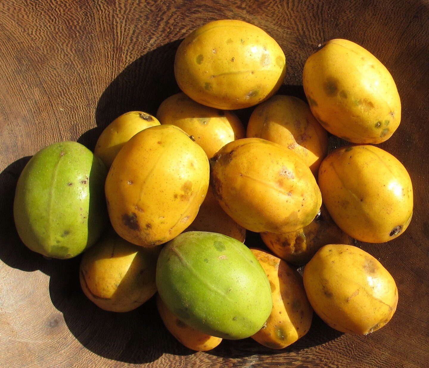 In the local Muani language in Mozambique, this fruit is called Embe Ngongo. It is rare in Mozambique and is cultivated in the coastal zone in the northern part of the country.

📍 Mozambique
📸 Ton Rulkens

#fruit #africanfruit #mozambique #embengon