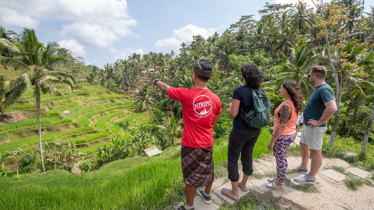 Bali where to eat, yoga and walk