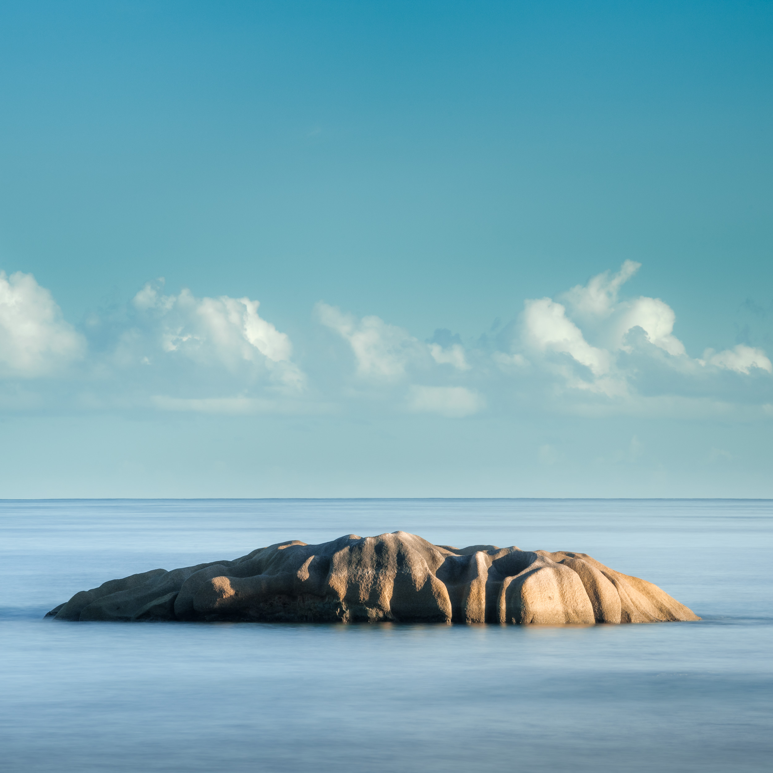 20100514-_DSC0197.jpg