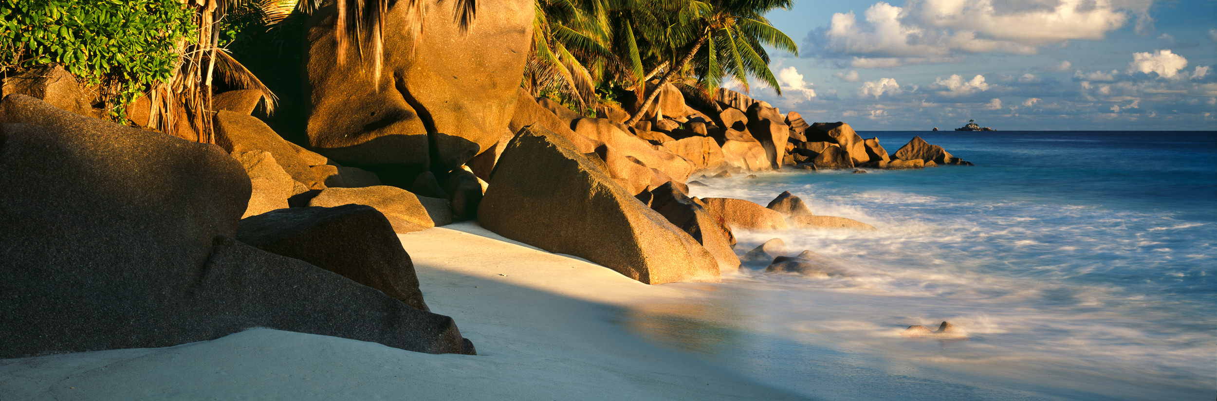 Picture 237_Tropical_Dream_MF.jpg