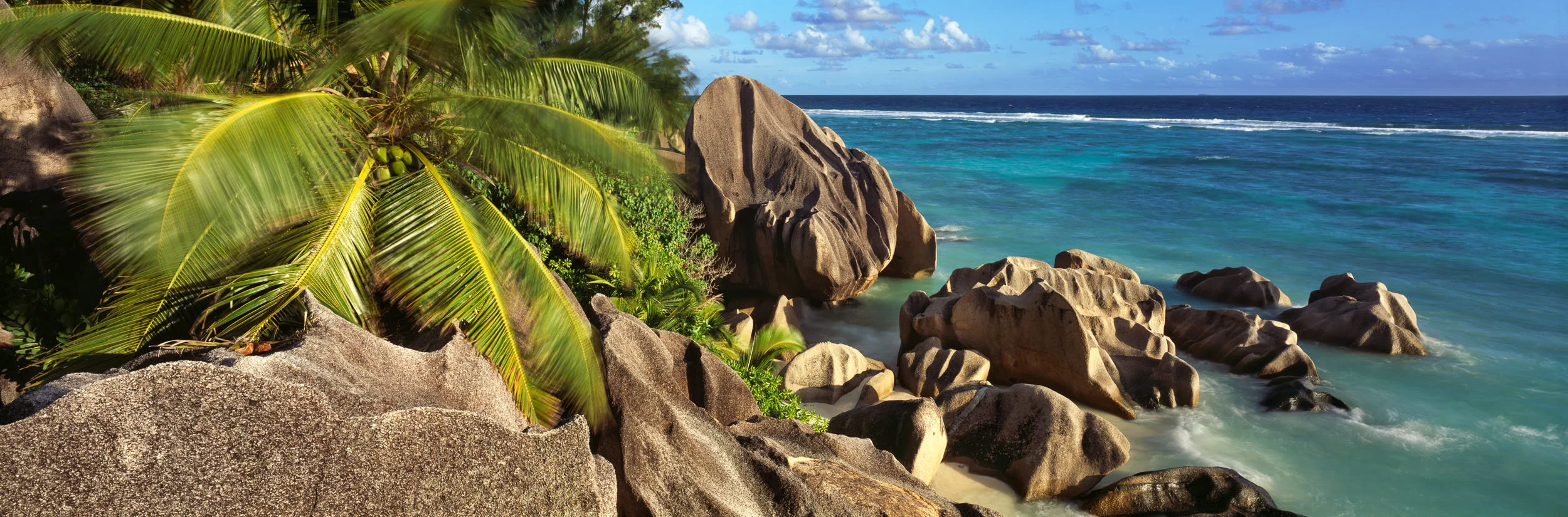 Picture 229_Tropical_Shores_MF.jpg