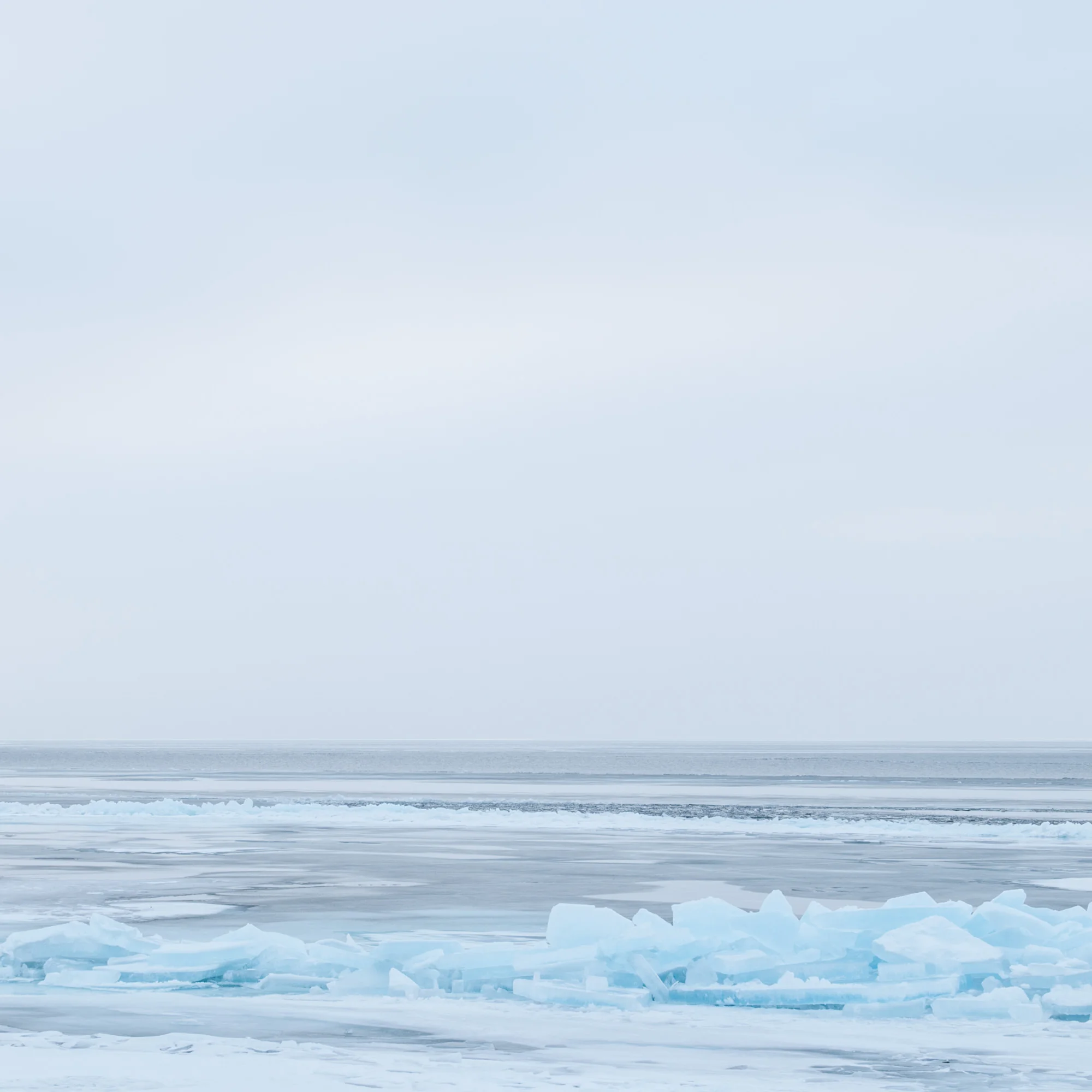 20090306-_DSC0467.jpg