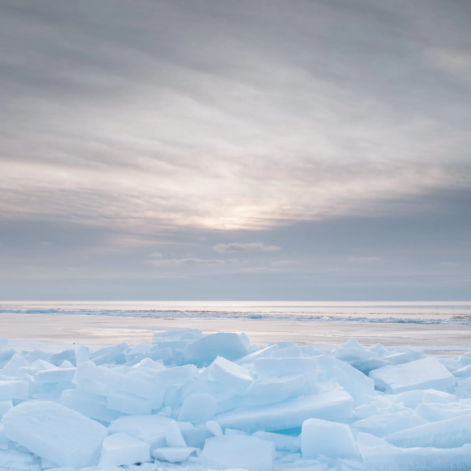 20090307-_DSC0583.jpg