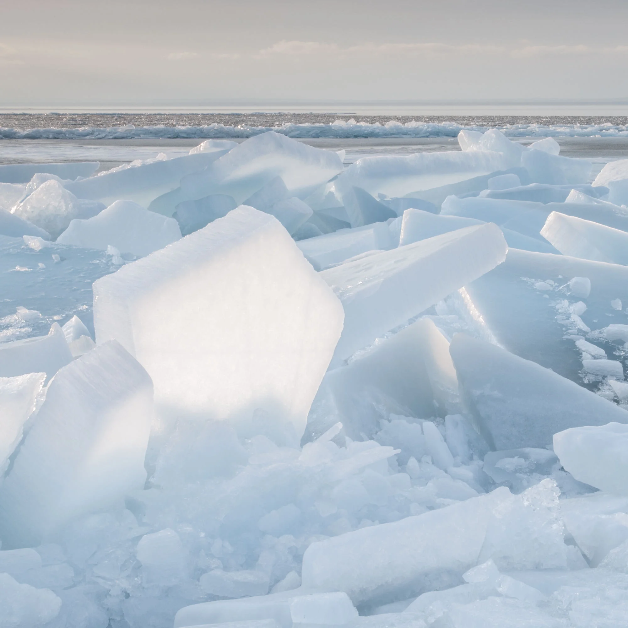 20090307-_DSC0622.jpg