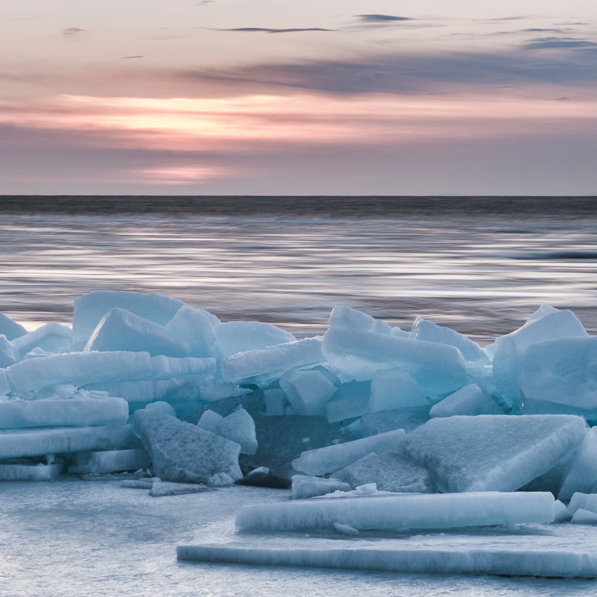 20090308-_DSC0732.jpg