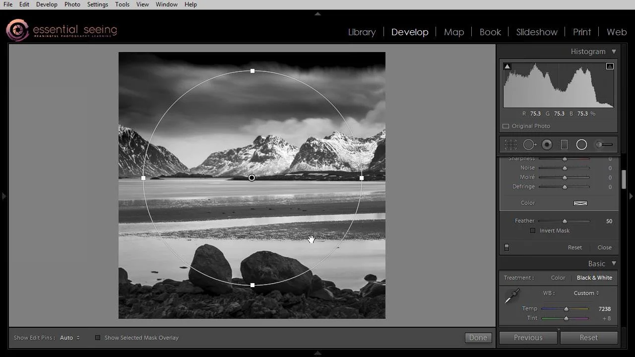 Untitled Project (Time 1_55_52;07).jpg