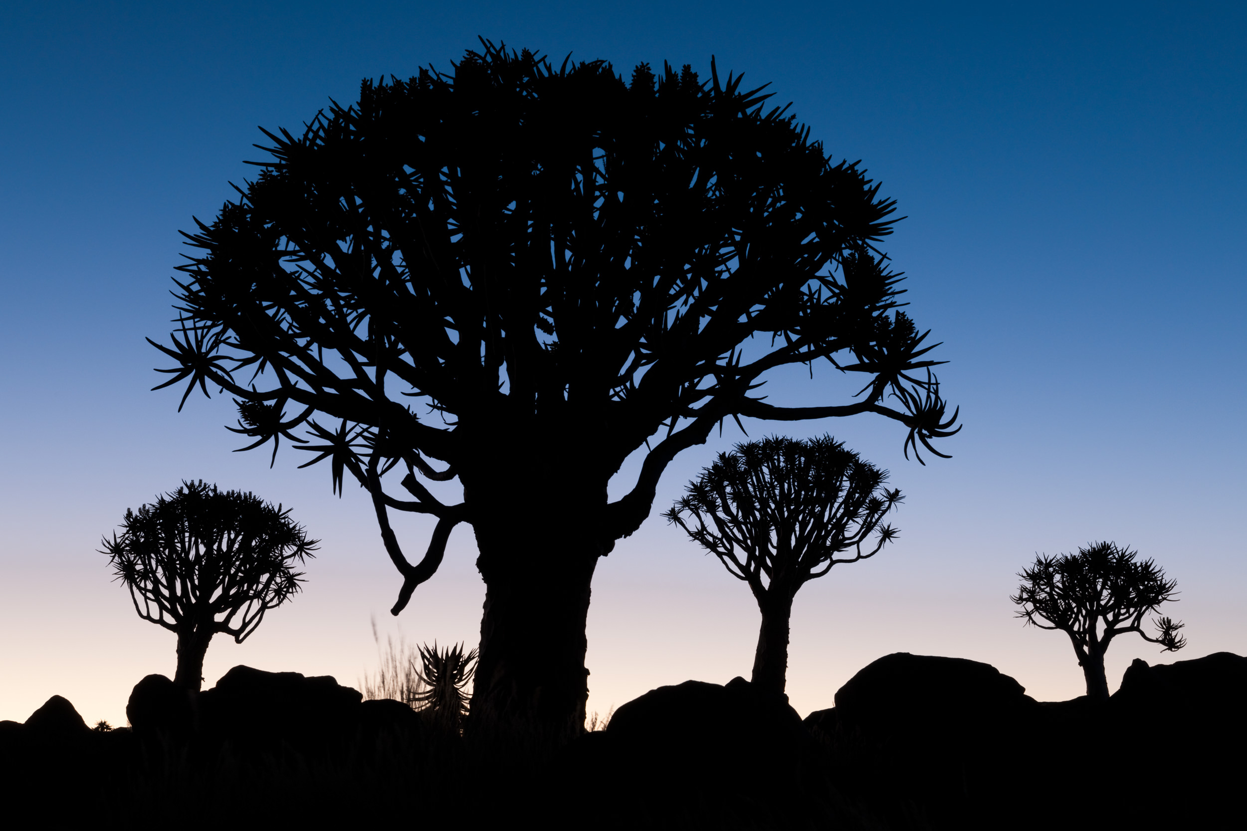 Example of playing with Silhouettes - Namibia, Rafael Rojas.jpg