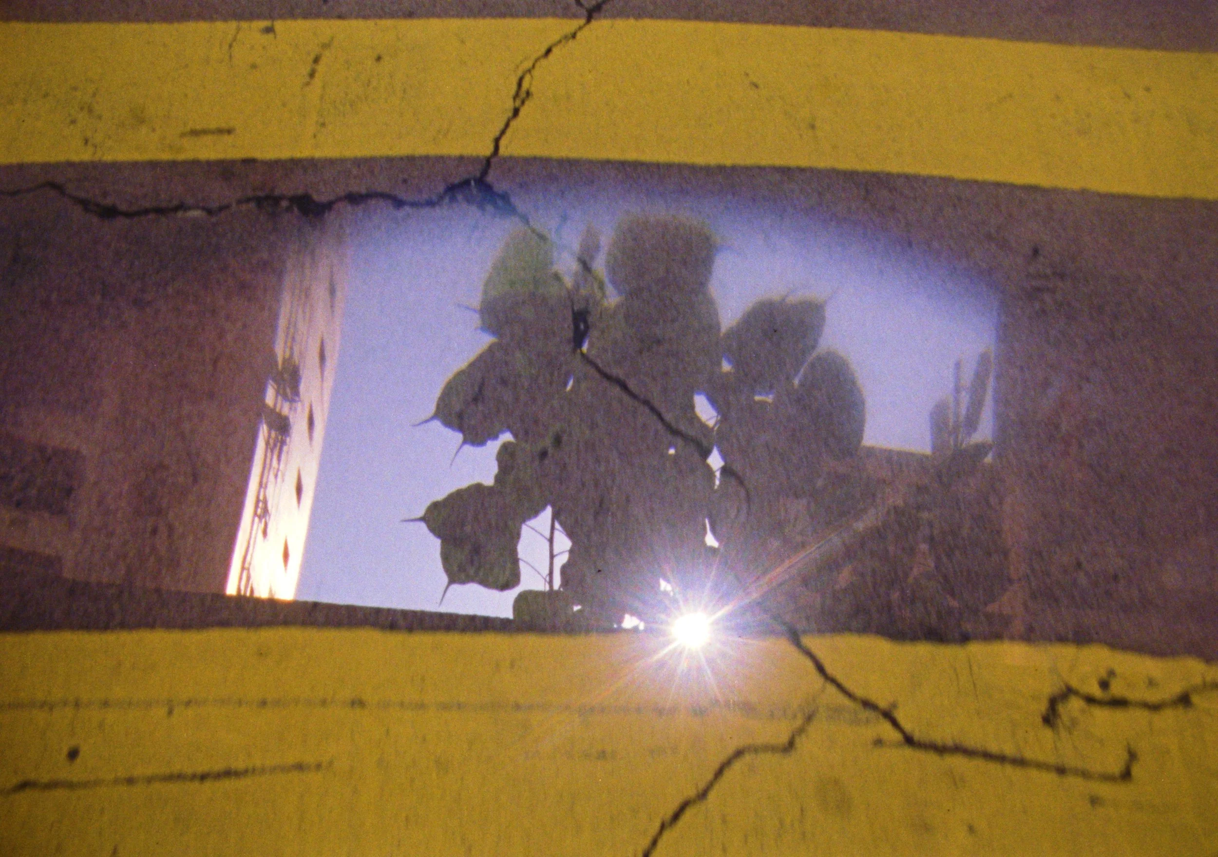 SplitsinTwo_Liu_Still2.jpg