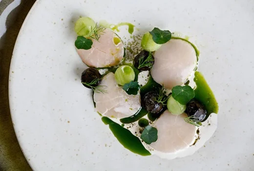 story scallops.jpg