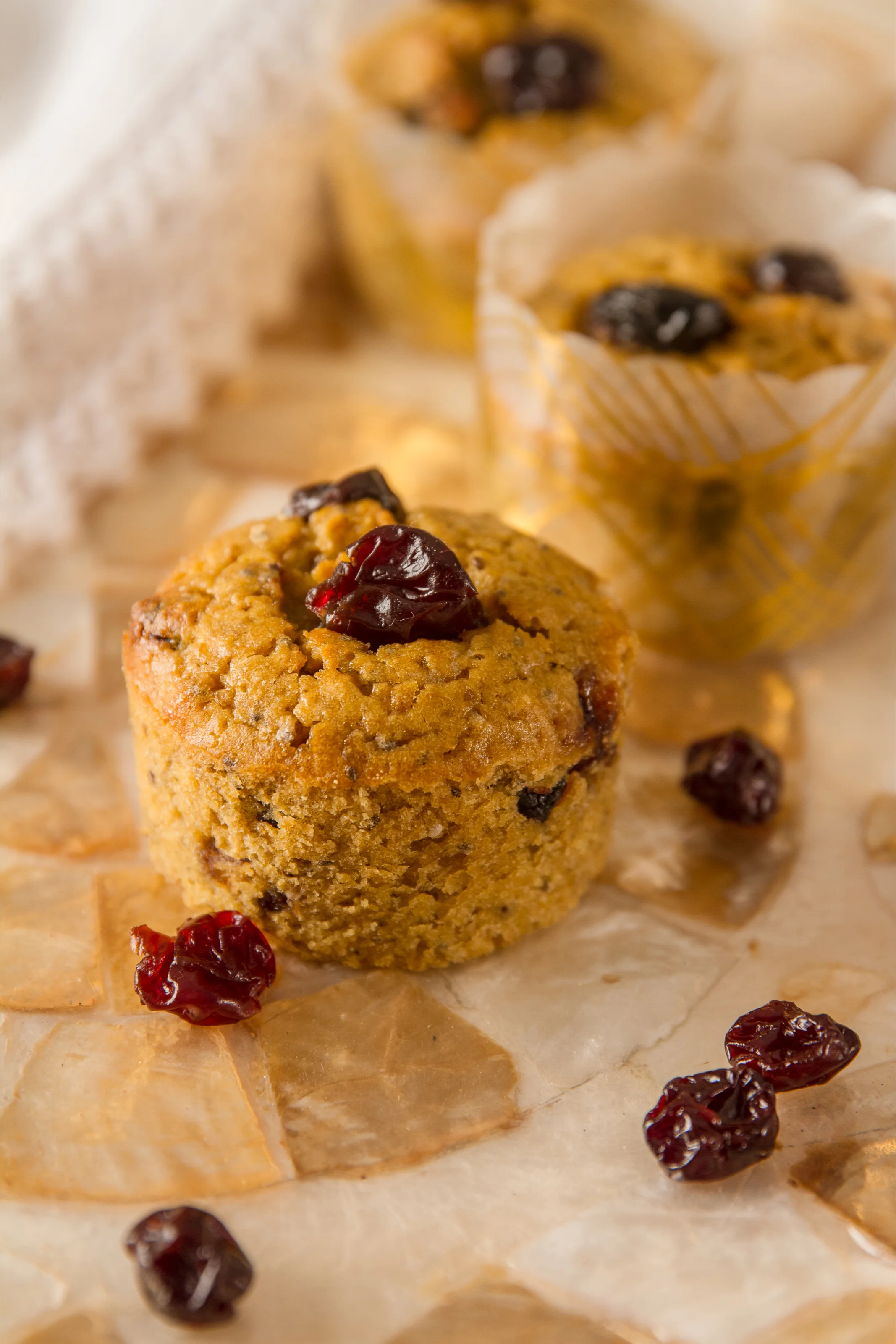 Chia Cherry Lentil Muffins - Recipe developed by Molly Morgan. Photo Credit: Howey Mistakos, Novel Studios