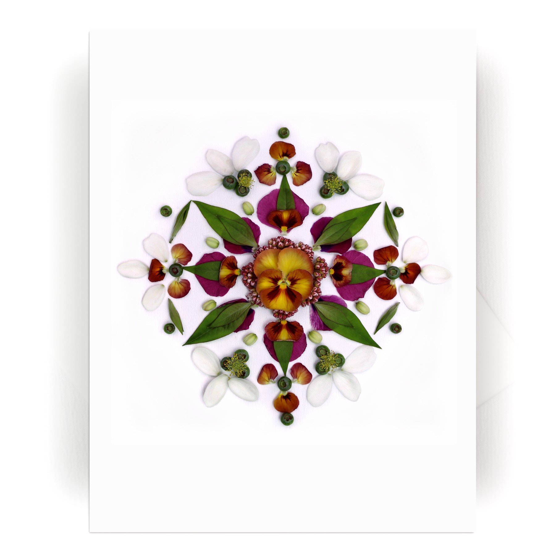 NEW! Nature Mandala Card