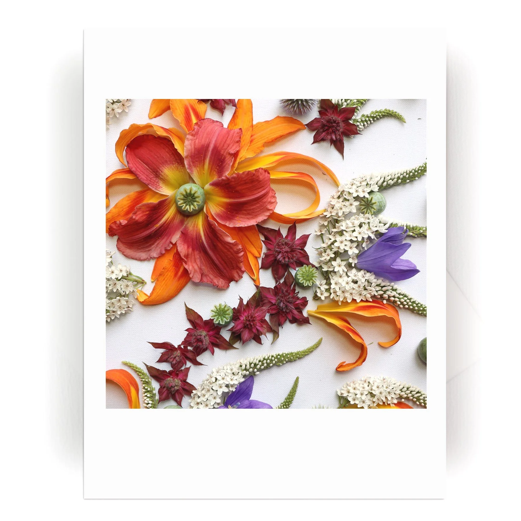 NEW! Nature Mandala Card