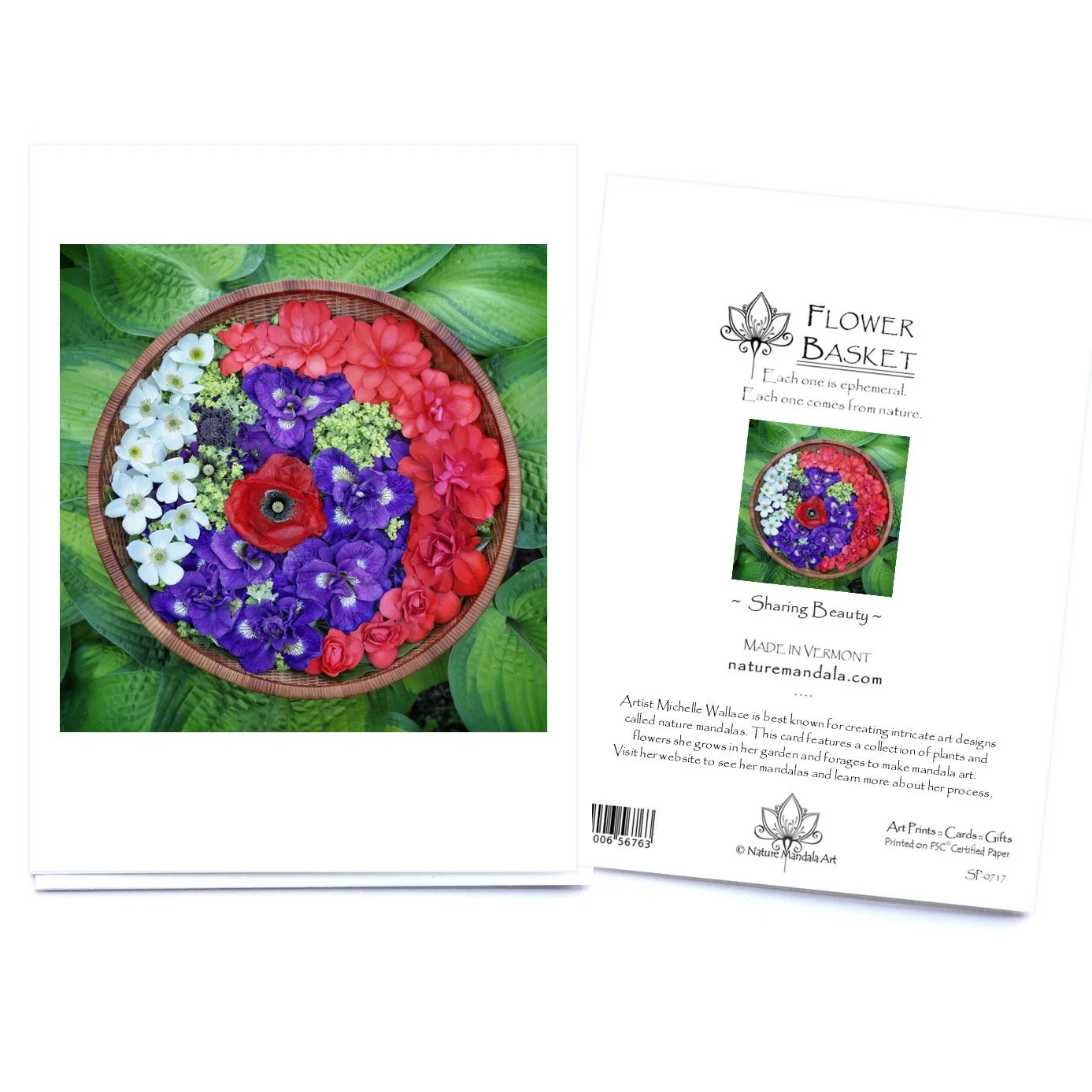 Nature Mandala Art Card Sharing Beauty .jpg