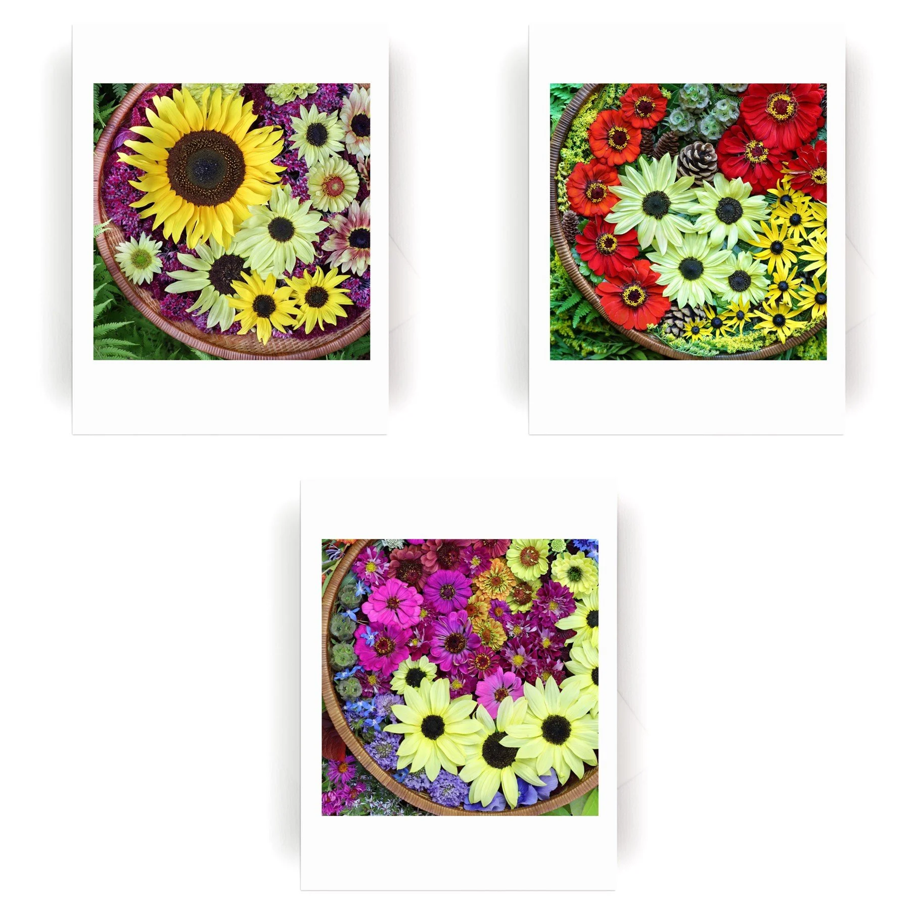 Nature Mandala Flower Basket Collectiona.jpg