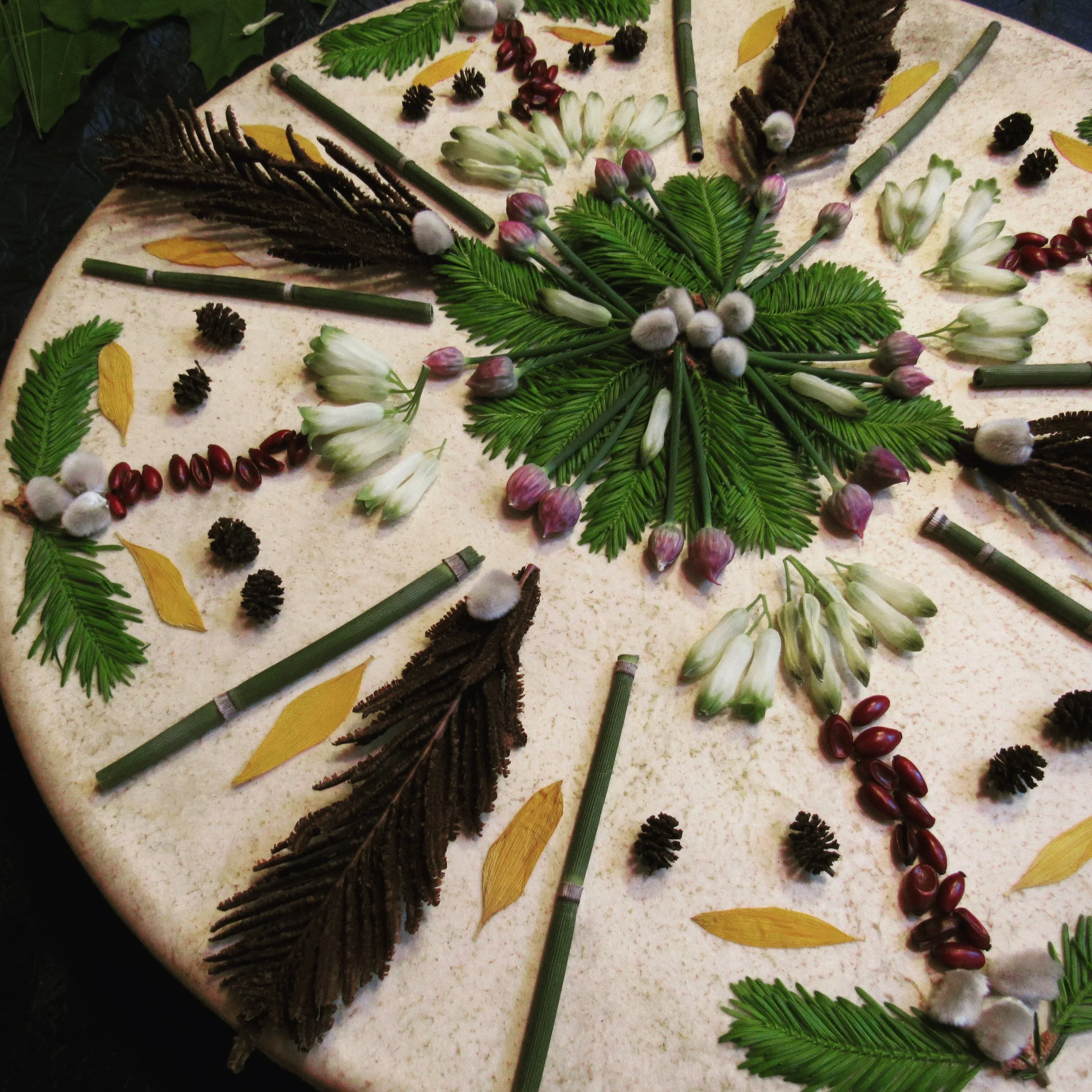 Kate Burnim :: Montpelier Vermont 