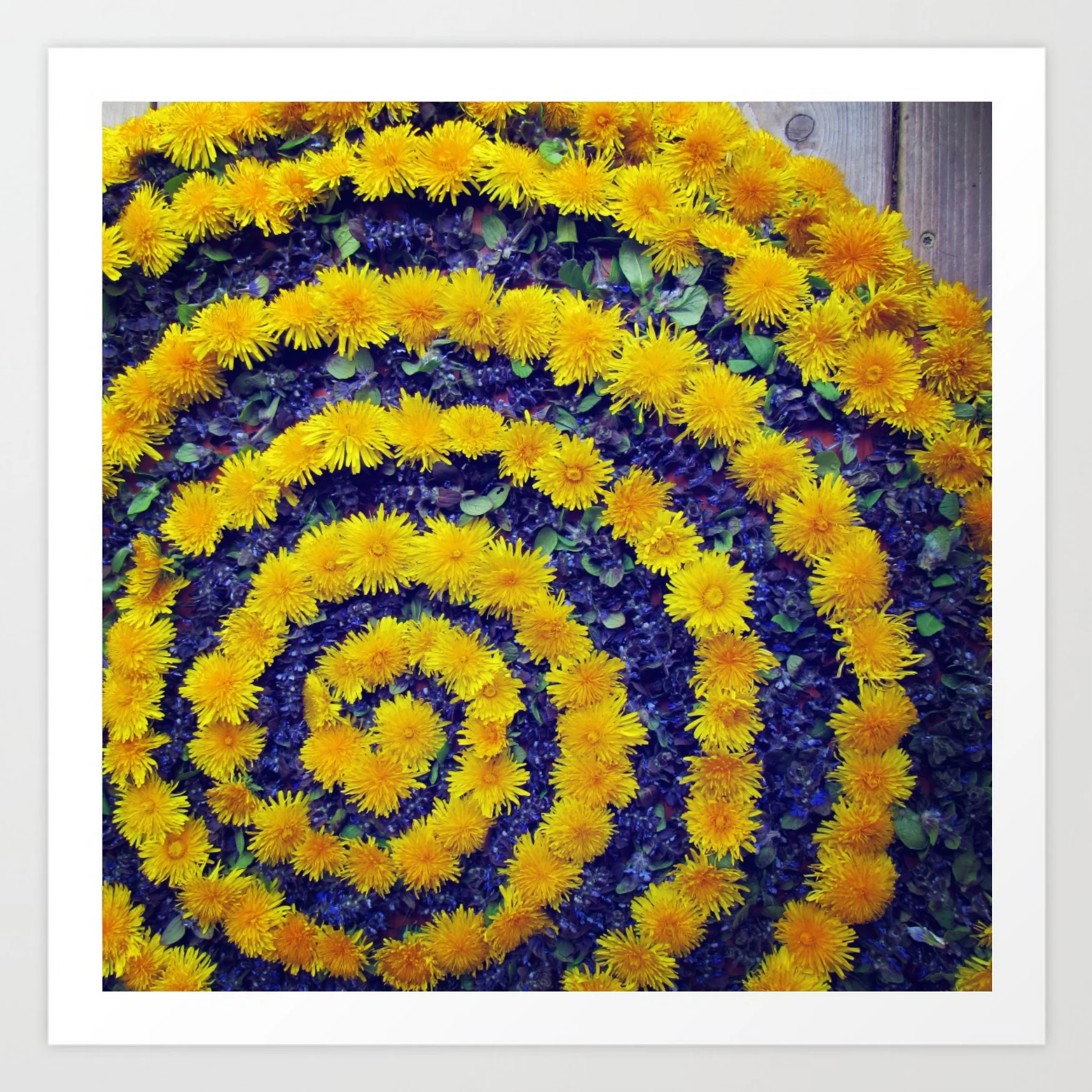 have a good attitude nature mandala.jpg