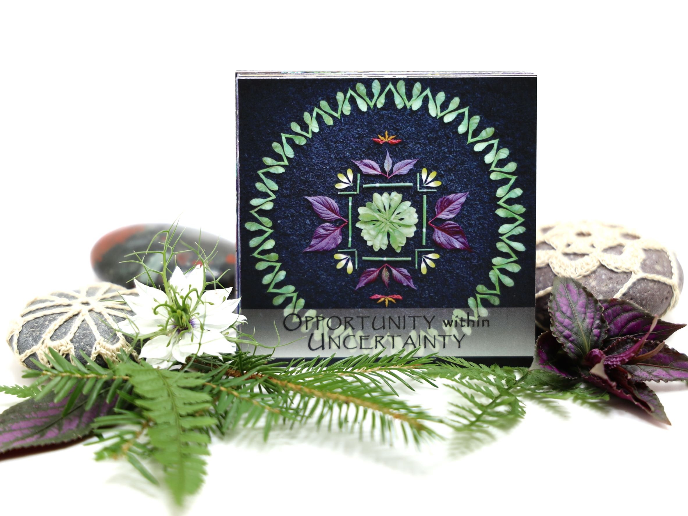 Nature Mandala Art Oracle Deck Opportunity .JPEG