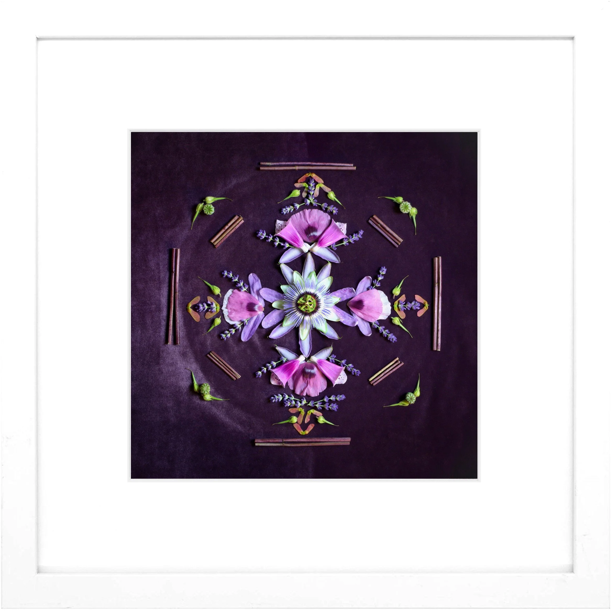 Nature Mandala Art Meditation white frame.jpg