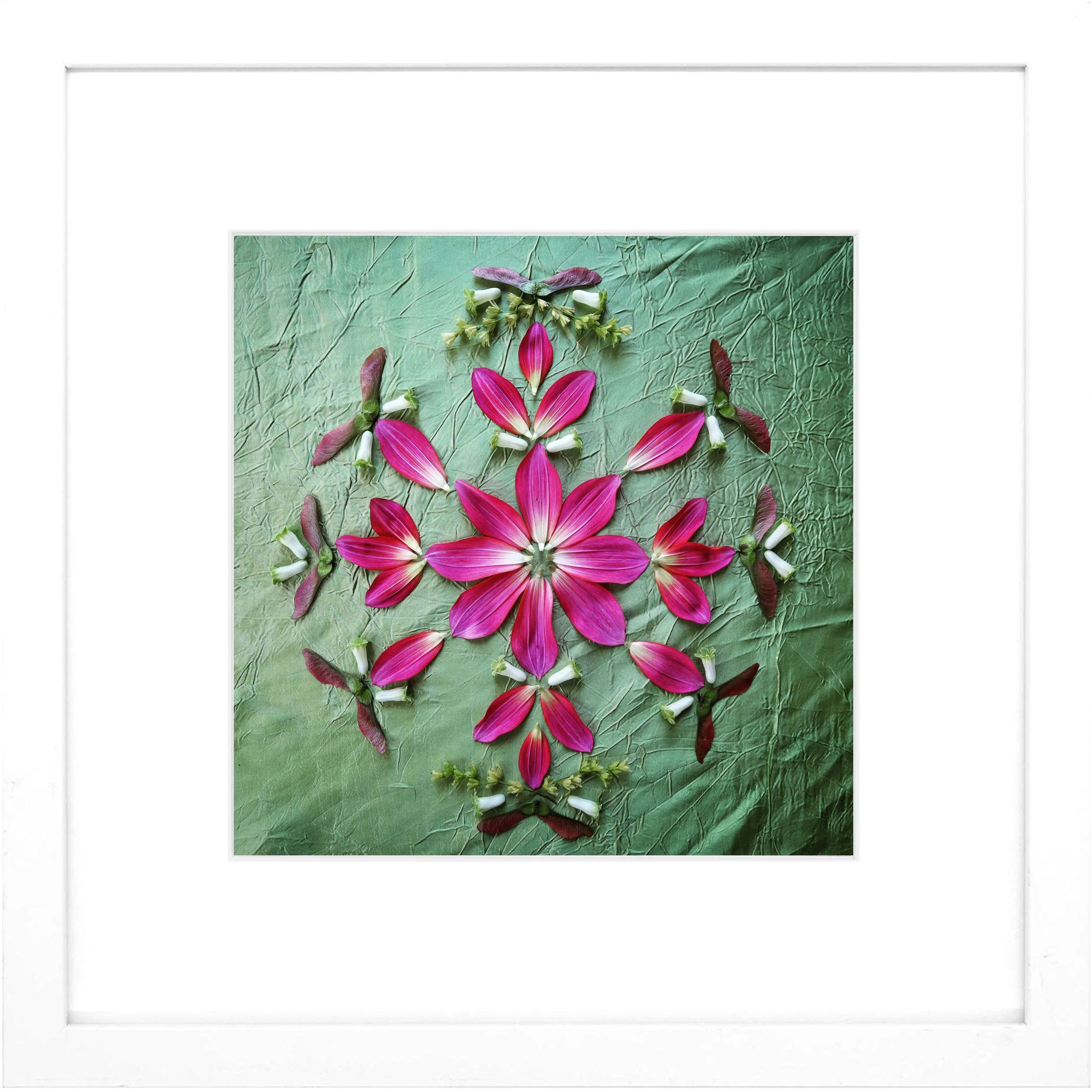 Nature Mandala Art Framed Print Simplify.jpg