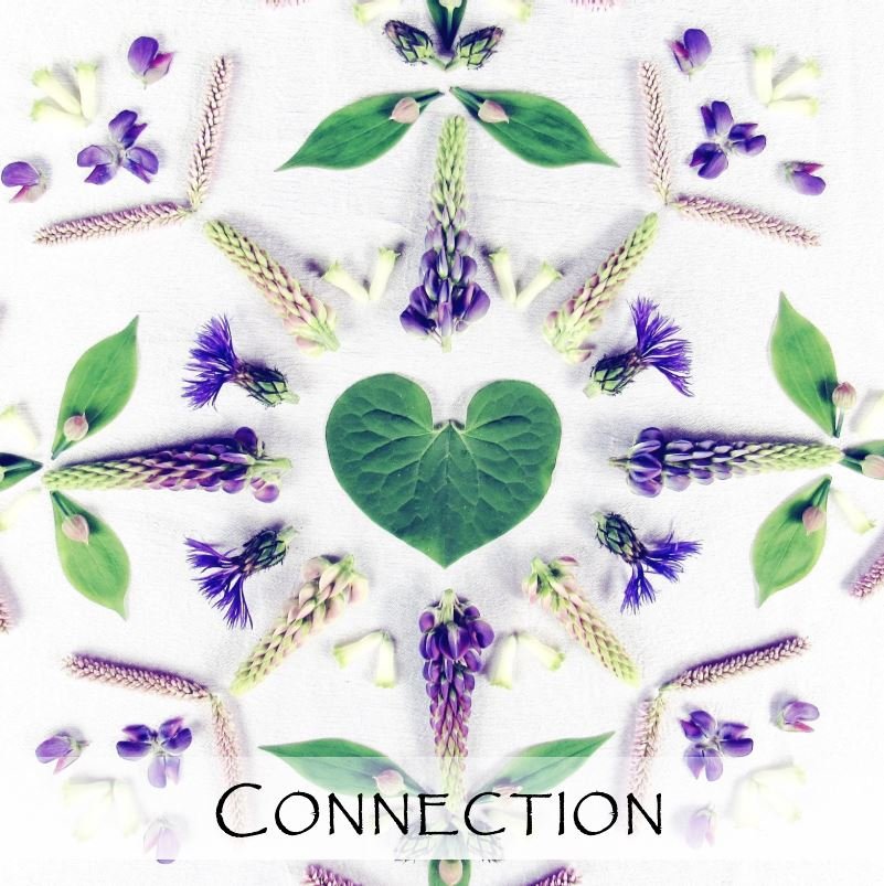 Connection Nature Mandala Art Vermont.JPG