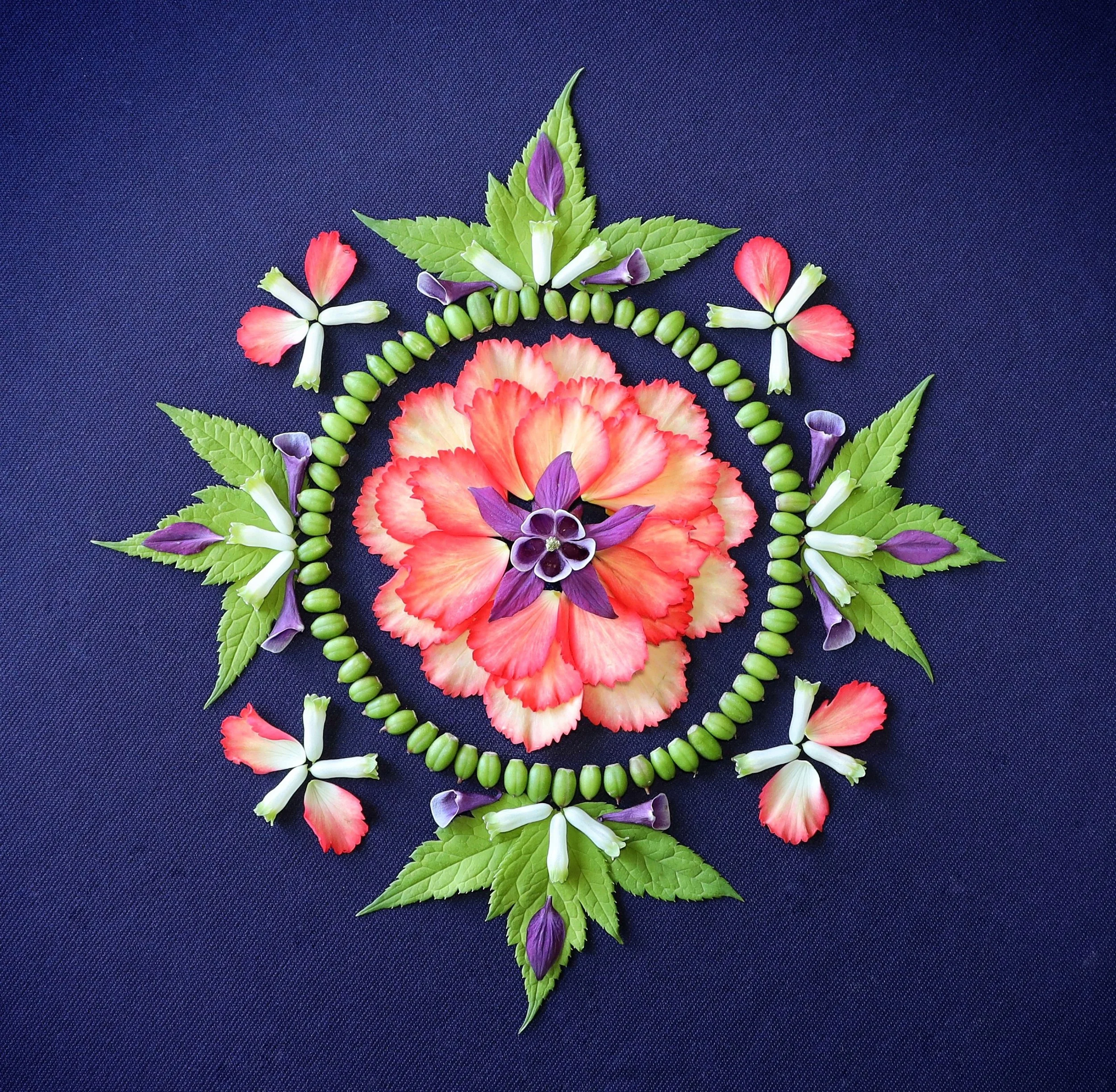 Nature Mandala: Thresholds