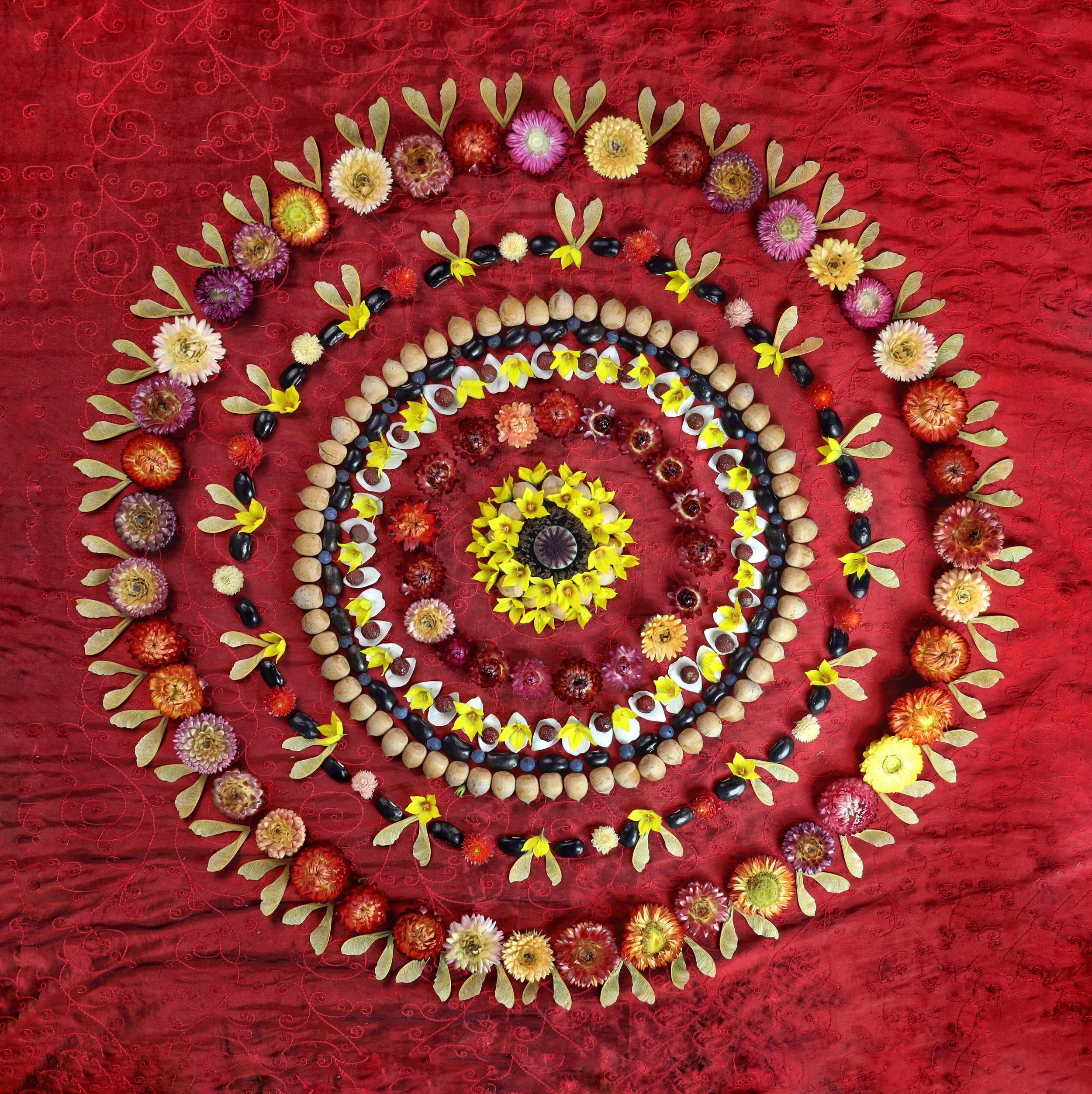 Nature Mandala: Unfolding