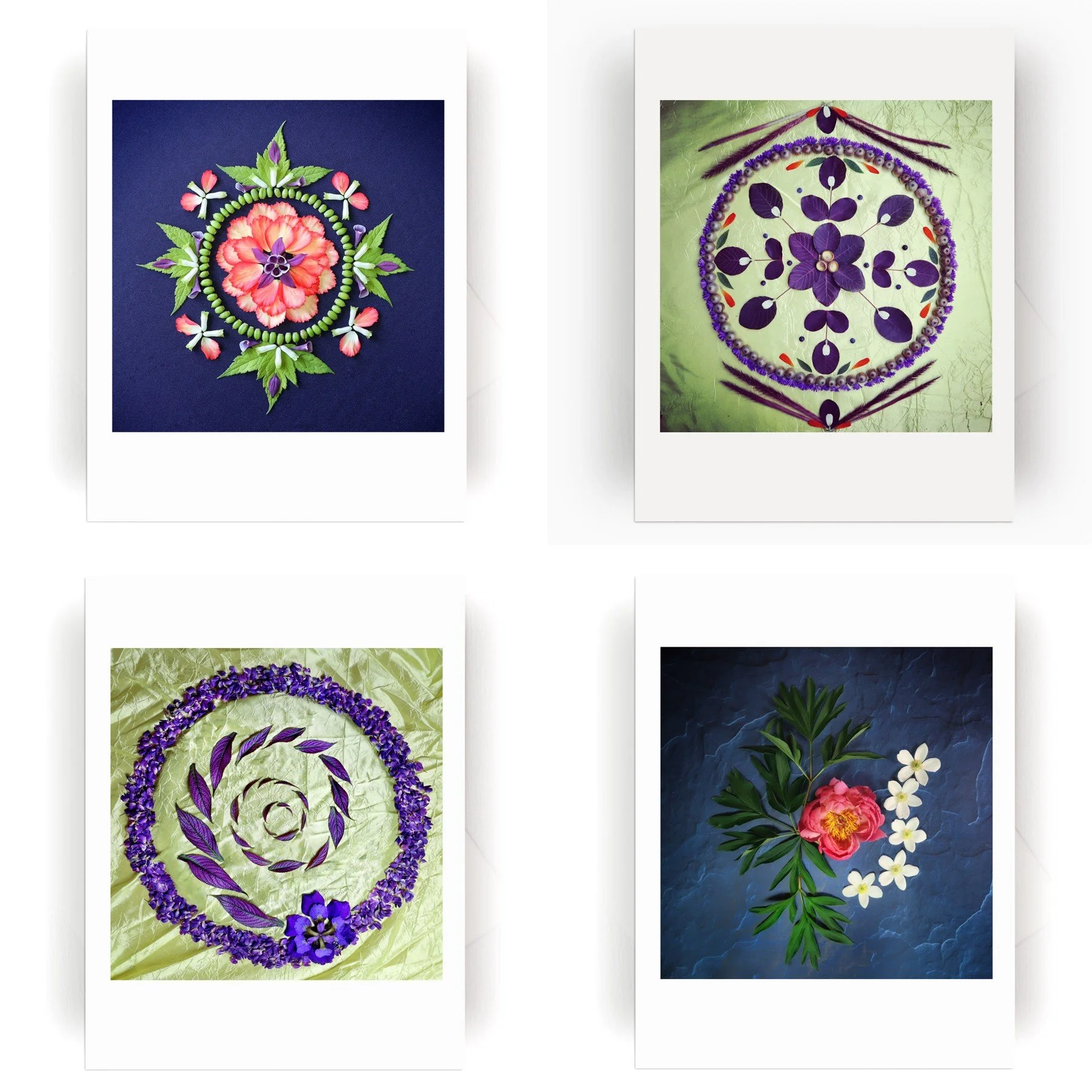 Nature Mandala Dynamic Collection2.jpg