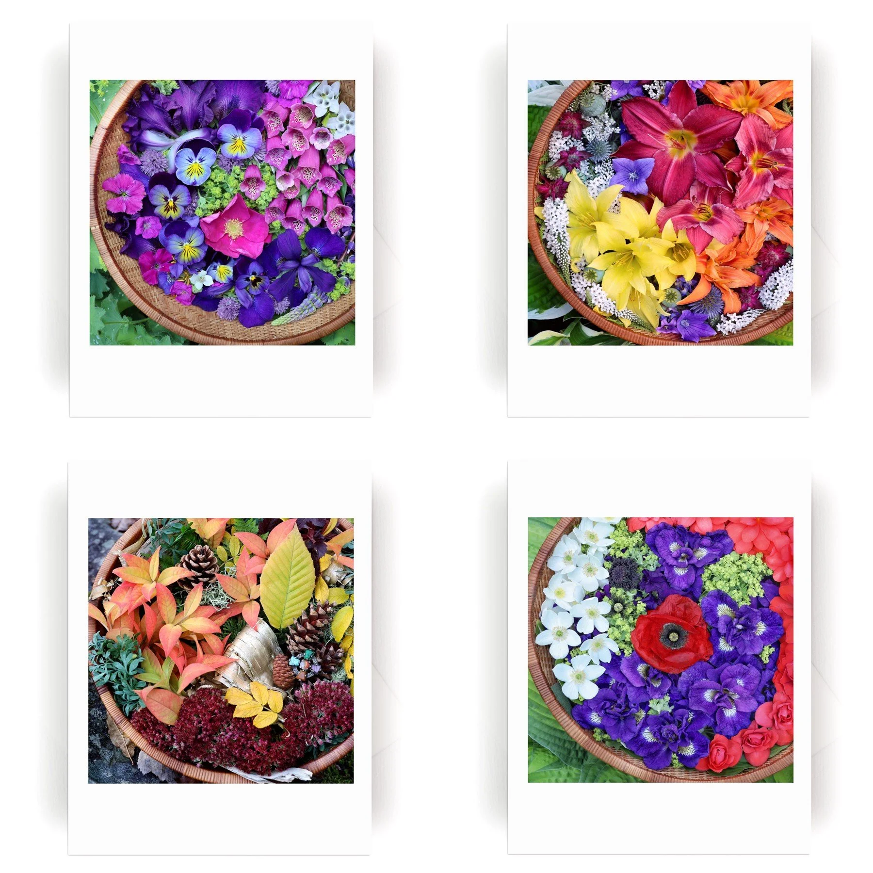Nature Mandala Flower Basket Collection 3b.jpg