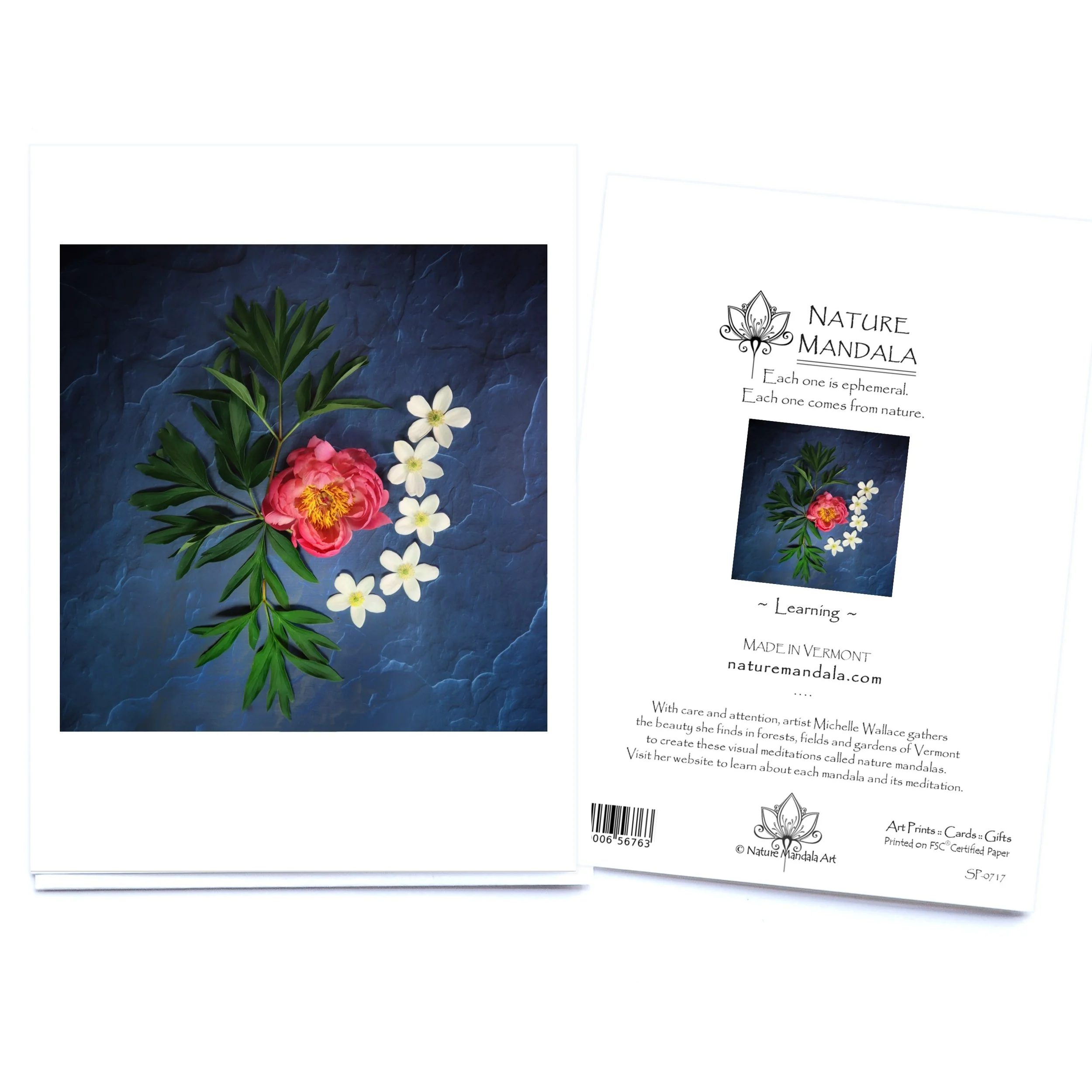 Nature Mandala Card Made in Vermont Learning.jpg