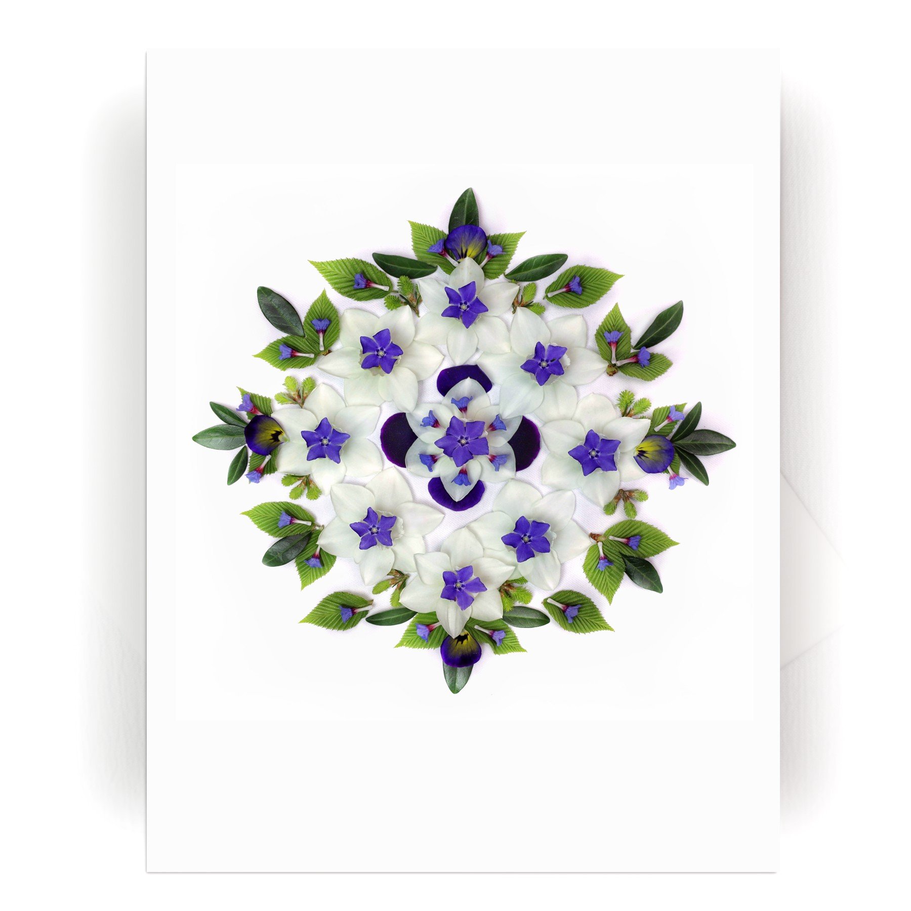 NEW! Nature Mandala Card