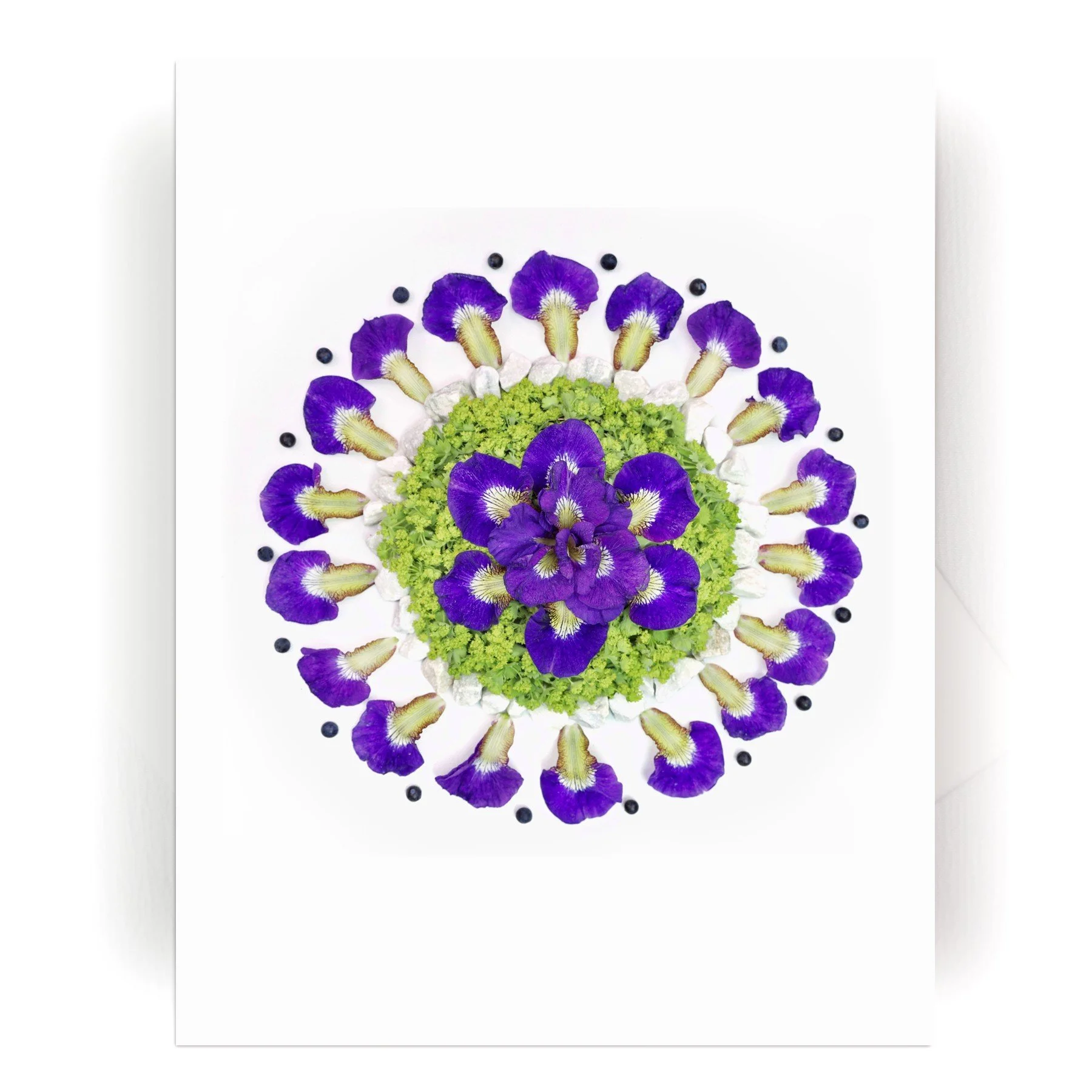 NEW! Nature Mandala Card
