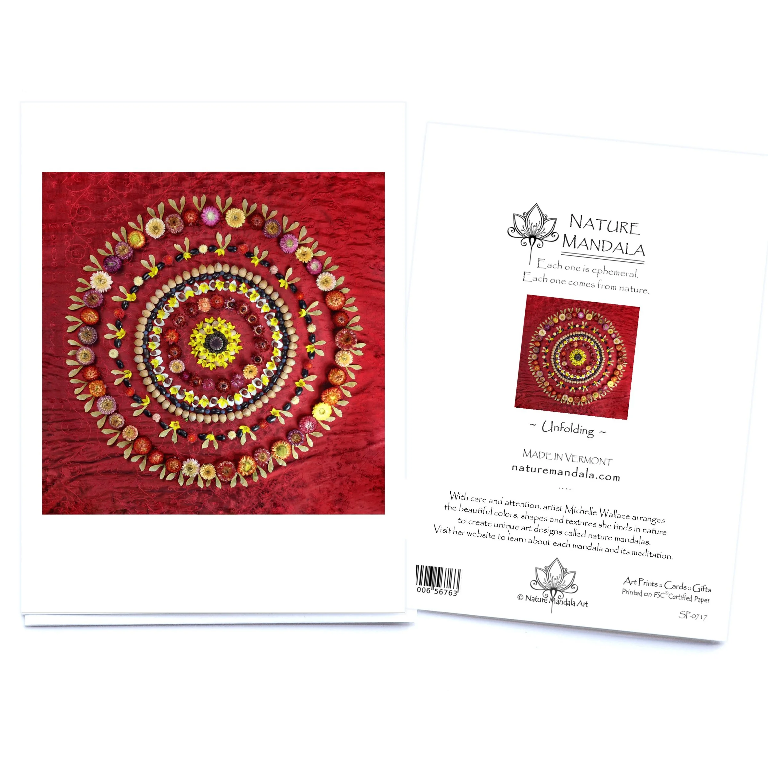 Unfolding Nature Mandala Greeting Card.jpg
