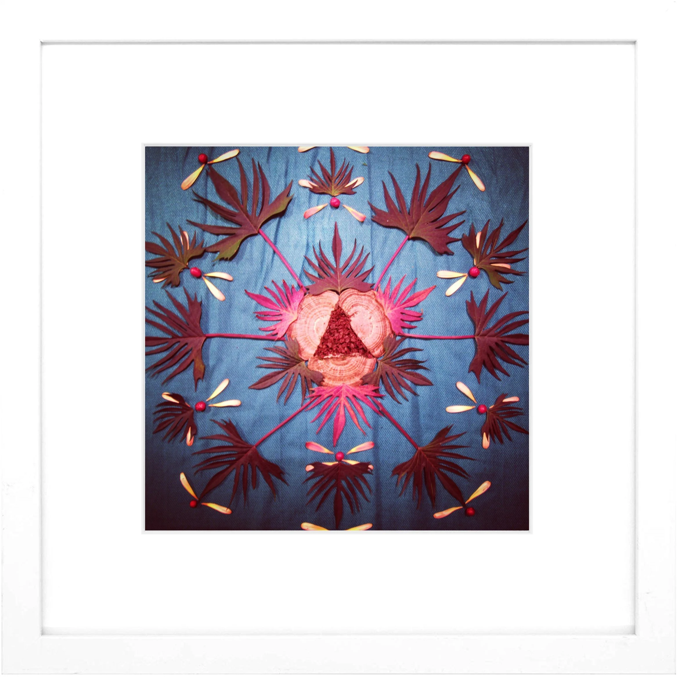 Nature Mandala Art Framed Print Passion.jpg