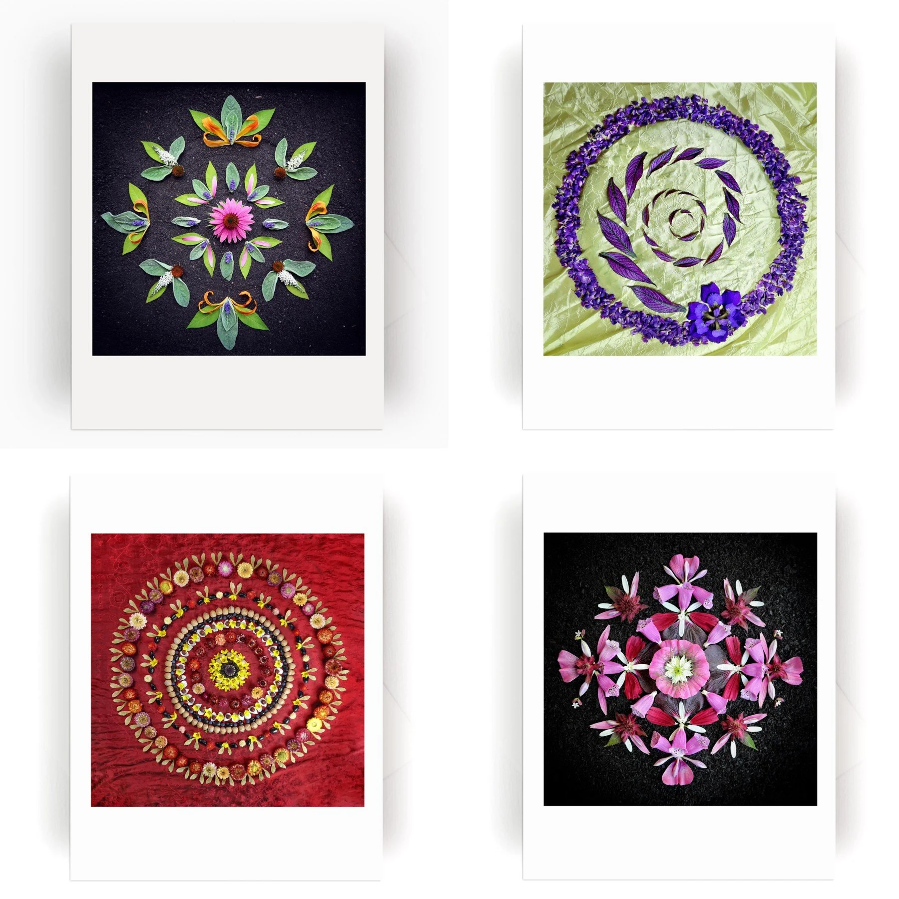 Nature Mandala Dynamic Collection3.jpg