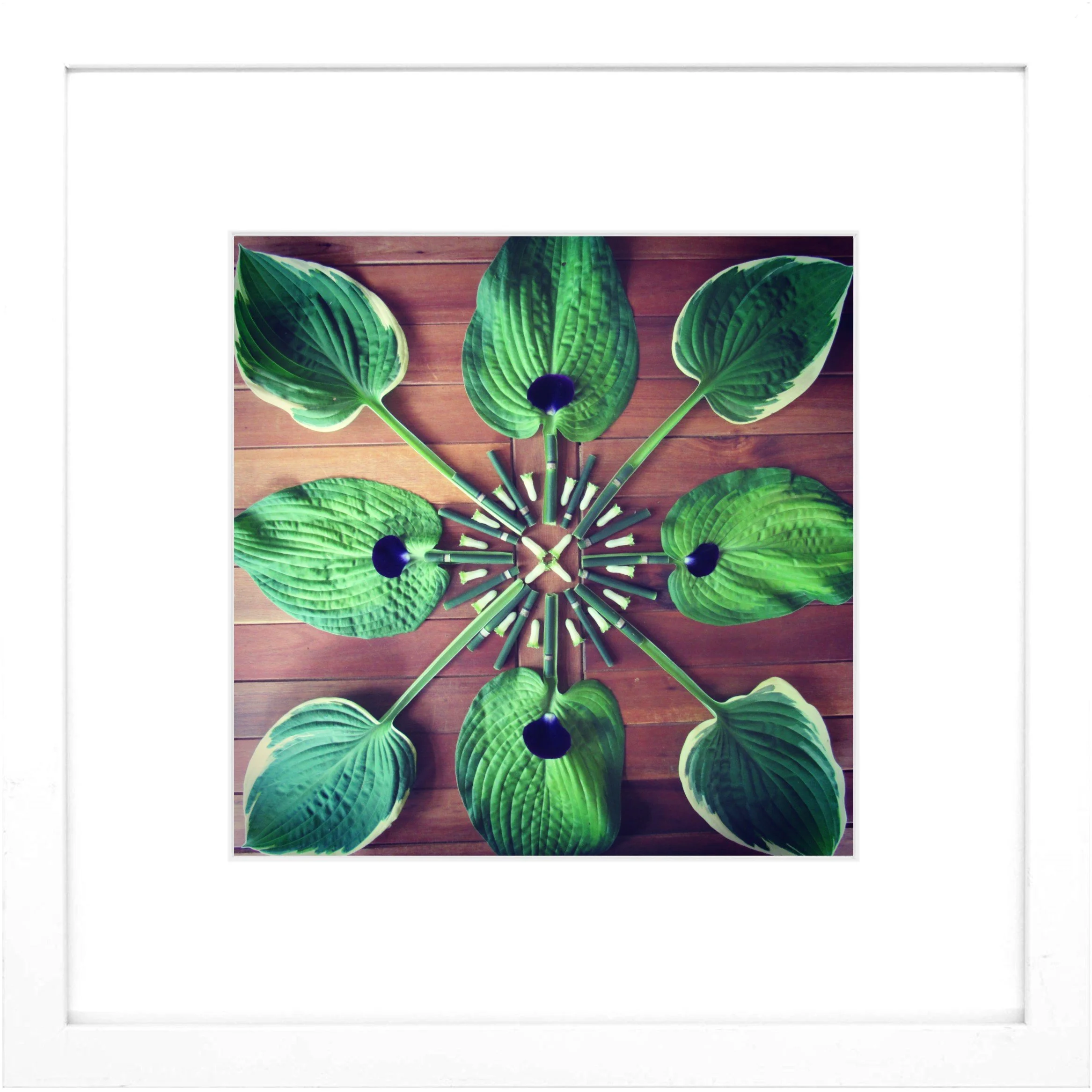 Nature Mandala Art Framed Print Clarity.jpg