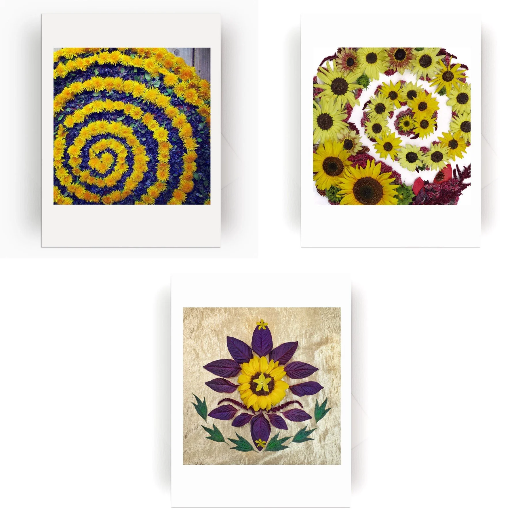 Nature Mandala Dynamic Collection b.jpg